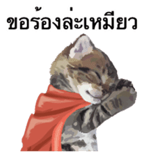 Kitten HeroThai version sticker #10445959