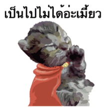Kitten HeroThai version sticker #10445960