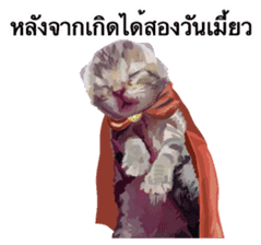 Kitten HeroThai version sticker #10445963