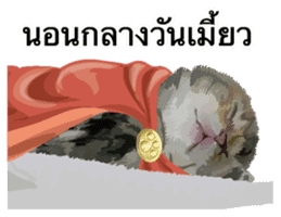 Kitten HeroThai version sticker #10445964