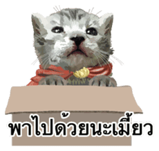 Kitten HeroThai version sticker #10445966