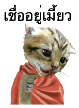 Kitten HeroThai version sticker #10445967