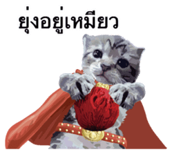 Kitten HeroThai version sticker #10445969