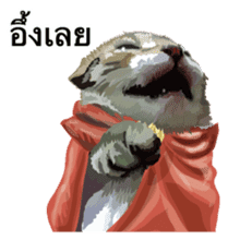 Kitten HeroThai version sticker #10445970