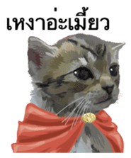 Kitten HeroThai version sticker #10445971