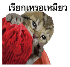 Kitten HeroThai version sticker #10445972