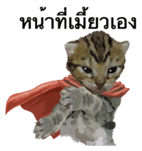 Kitten HeroThai version sticker #10445974