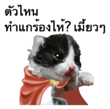 Kitten HeroThai version sticker #10445975
