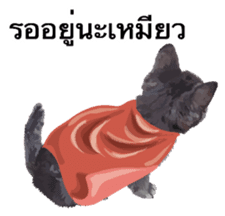 Kitten HeroThai version sticker #10445976