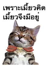 Kitten HeroThai version sticker #10445979