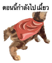 Kitten HeroThai version sticker #10445981