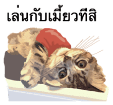 Kitten HeroThai version sticker #10445982
