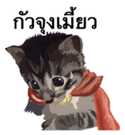 Kitten HeroThai version sticker #10445987