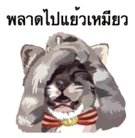 Kitten HeroThai version sticker #10445990