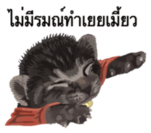 Kitten HeroThai version sticker #10445991