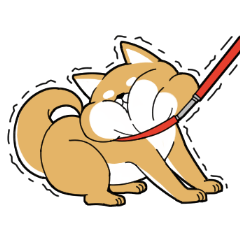 DAME SHIBA2
