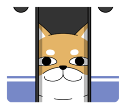 DAME SHIBA2 sticker #10446152