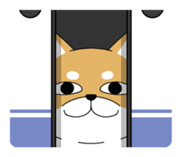 DAME SHIBA2 sticker #10446152