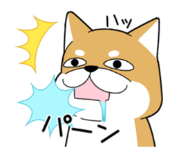 DAME SHIBA2 sticker #10446155