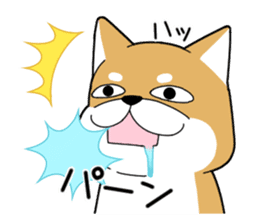 DAME SHIBA2 sticker #10446155