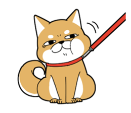 DAME SHIBA2 sticker #10446157