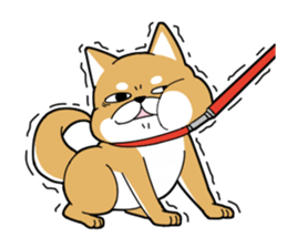 DAME SHIBA2 sticker #10446158
