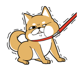DAME SHIBA2 sticker #10446158