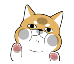 DAME SHIBA2 sticker #10446162