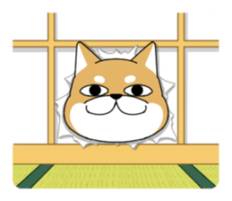 DAME SHIBA2 sticker #10446163