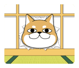 DAME SHIBA2 sticker #10446163
