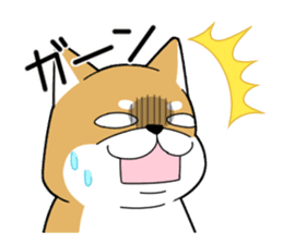 DAME SHIBA2 sticker #10446164