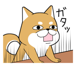 DAME SHIBA2 sticker #10446168