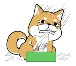 DAME SHIBA2 sticker #10446171