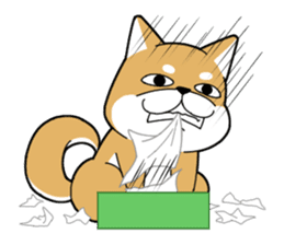 DAME SHIBA2 sticker #10446171