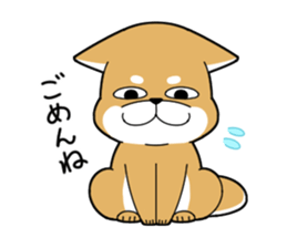 DAME SHIBA2 sticker #10446172