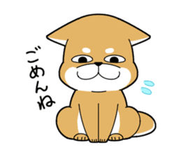 DAME SHIBA2 sticker #10446172