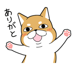 DAME SHIBA2 sticker #10446173