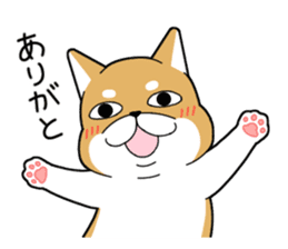 DAME SHIBA2 sticker #10446173