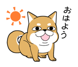 DAME SHIBA2 sticker #10446174