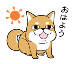 DAME SHIBA2 sticker #10446174