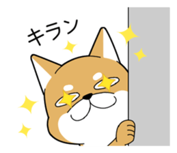 DAME SHIBA2 sticker #10446176