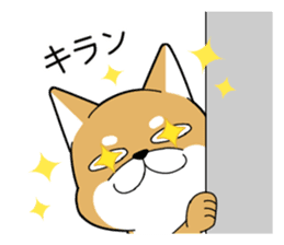DAME SHIBA2 sticker #10446176
