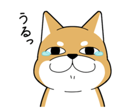 DAME SHIBA2 sticker #10446180