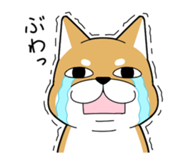 DAME SHIBA2 sticker #10446181
