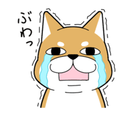 DAME SHIBA2 sticker #10446181