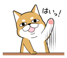 DAME SHIBA2 sticker #10446185