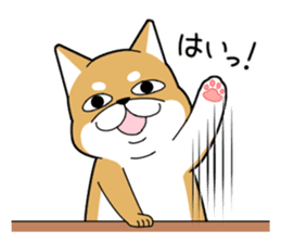 DAME SHIBA2 sticker #10446185
