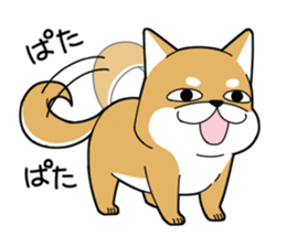 DAME SHIBA2 sticker #10446186