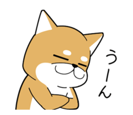 DAME SHIBA2 sticker #10446189