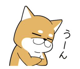 DAME SHIBA2 sticker #10446189